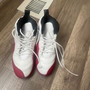 Air Jordan 12